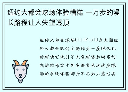 纽约大都会球场体验糟糕 一万步的漫长路程让人失望透顶